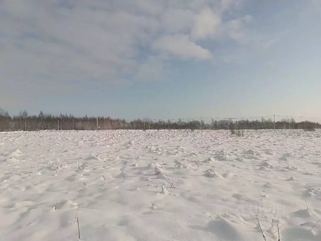Участок в Новгородская область, Новгородский район, Ракомское с/пос, ... - Фото 1
