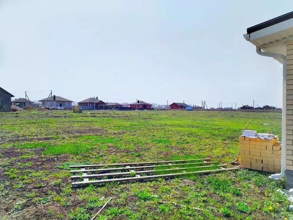 Дом в Белгородская область, Белгородский район, с. Стрелецкое ул. ... - Фото 1