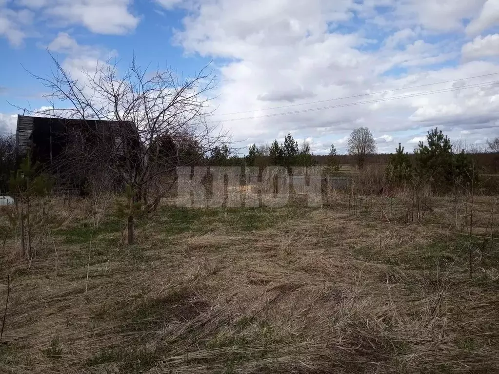 Участок в Вологодская область, Сокольский муниципальный округ, д. ... - Фото 1
