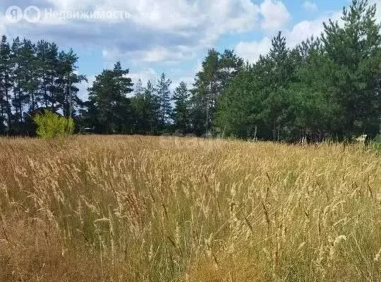 Участок в село Новоживотинное, Дорожная улица (12.5 м) - Фото 1