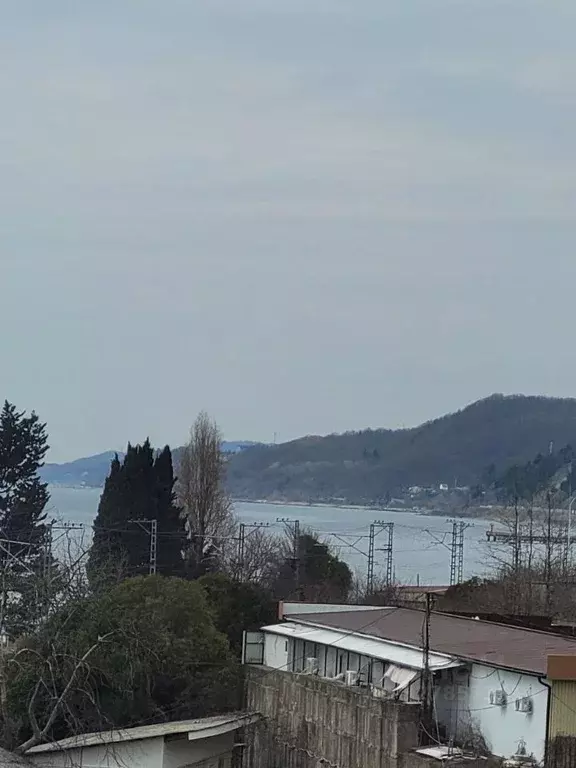 Студия Краснодарский край, Сочи ул. Декабристов, 22Г (25.0 м) - Фото 2