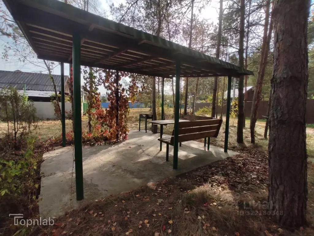 Участок в Калужская область, Дзержинский муниципальный округ, Льва ... - Фото 1