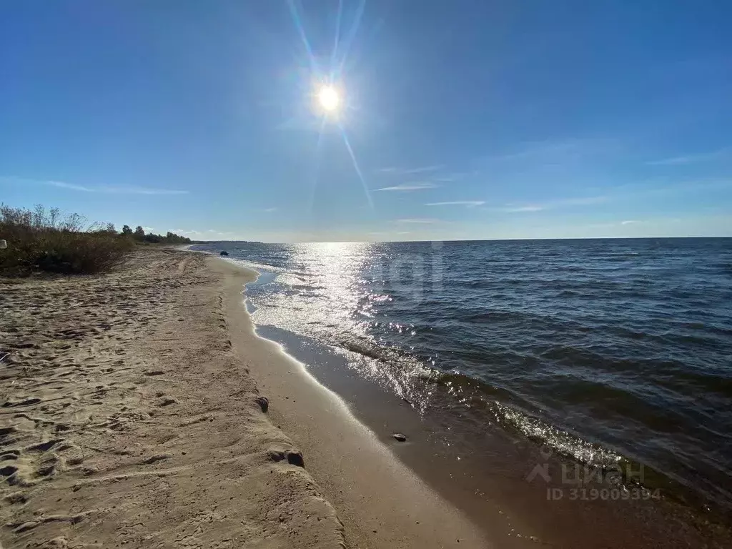 Участок в Псковская область, Гдов городское поселение, д. Луневщина  ... - Фото 1