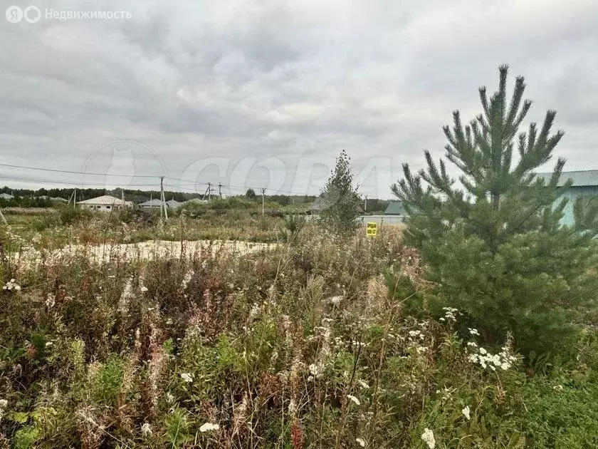 Участок в Тюменский район, деревня Елань, коттеджный посёлок ... - Фото 1