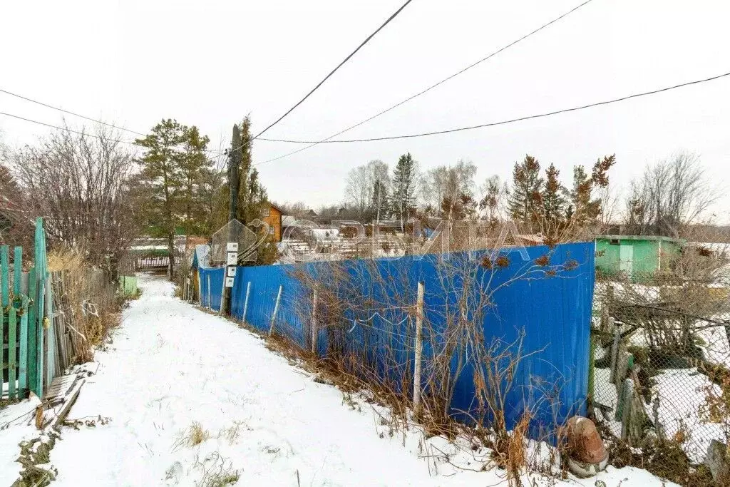 Дом в Тюменская область, Тюмень Сибиряк СНТ, ул. Дачная (20 м) - Фото 1