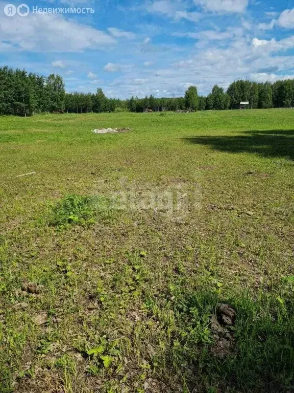 Участок в Тюменская область, Нижнетавдинский муниципальный округ, ... - Фото 2