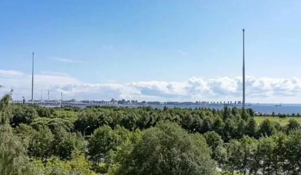 1-к кв. Санкт-Петербург Приморский просп., 157к2 (40.0 м) - Фото 2