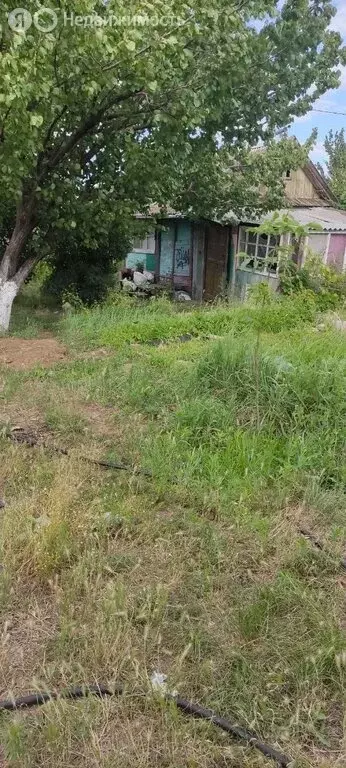 Дом в Волгоград, СНТ Нефтяник (20 м) - Фото 1