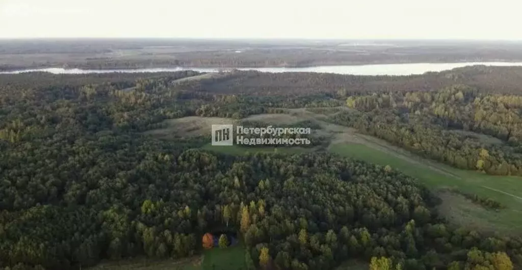 Участок в Лужский район, Осьминское сельское поселение, деревня Рель ... - Фото 0