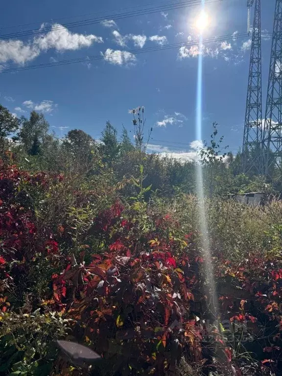 Участок, 4 сот., поселения (ижс) - Фото 2