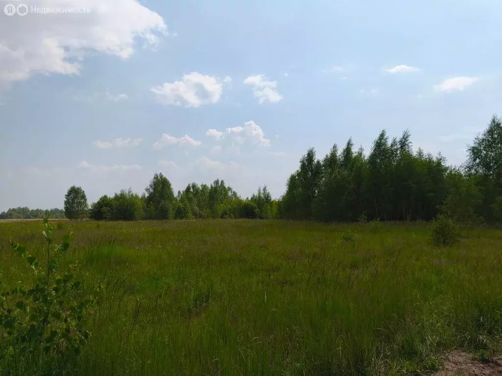 Участок в Московская область, Раменский муниципальный округ, ... - Фото 2