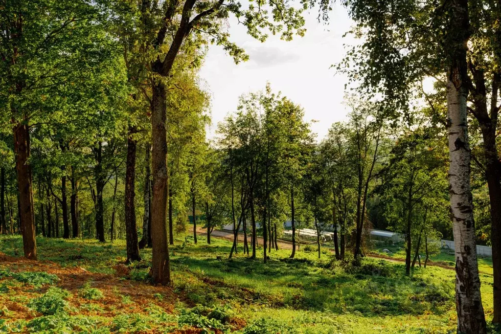 Участок в Московская область, Дмитровский муниципальный округ, д. ... - Фото 1