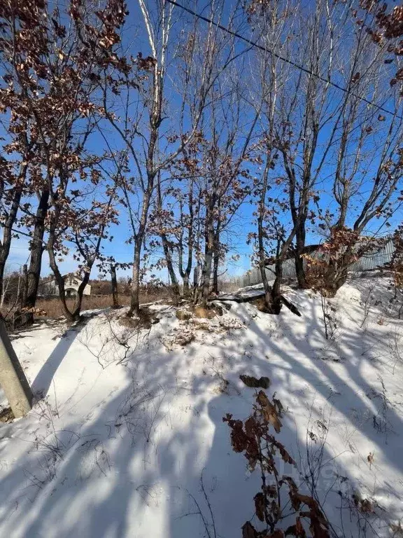 Участок в Амурская область, Благовещенск  (10.5 сот.) - Фото 0