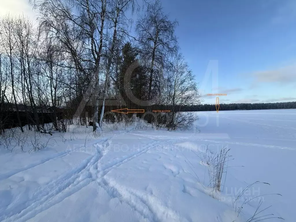 Участок в Ленинградская область, Приозерский район, Ларионовское ... - Фото 1