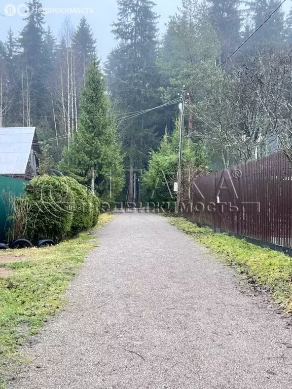 Дом в Выборгский район, Рощинское городское поселение, СНТ Карелия, 43 ... - Фото 2