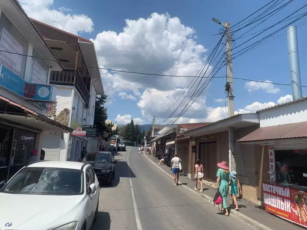 Участок в Крым, Алушта муниципальный округ, с. Рыбачье ул. Северная ... - Фото 2