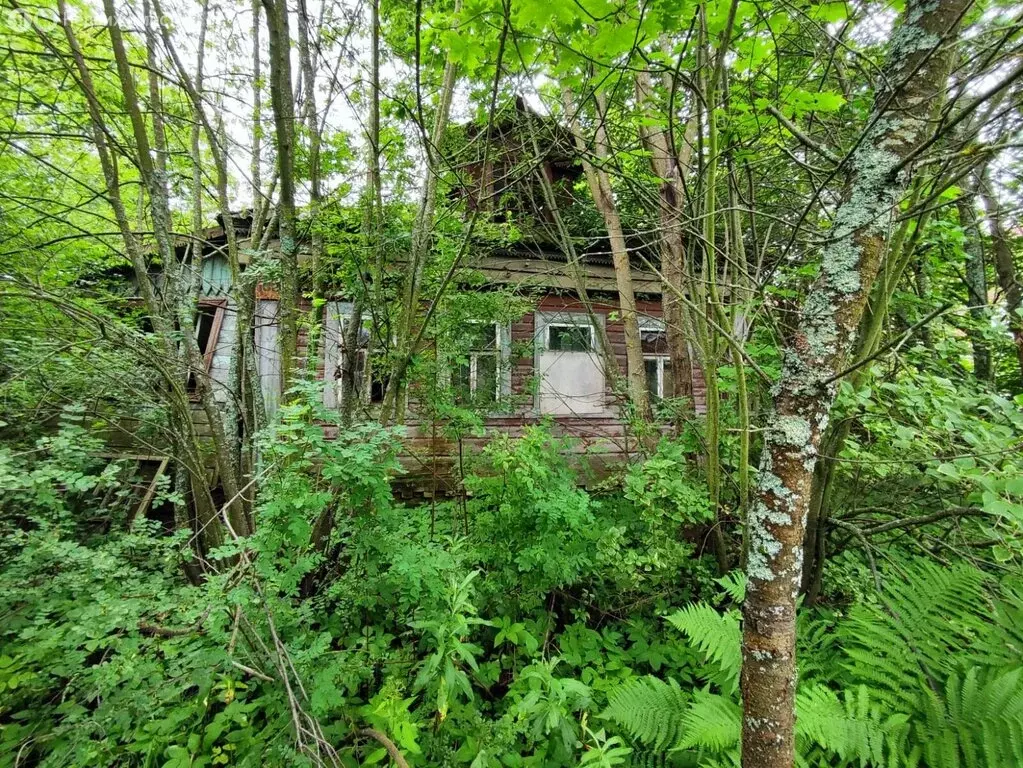 Дом в Петушки, Красноармейская улица, 108 (50 м) - Фото 1