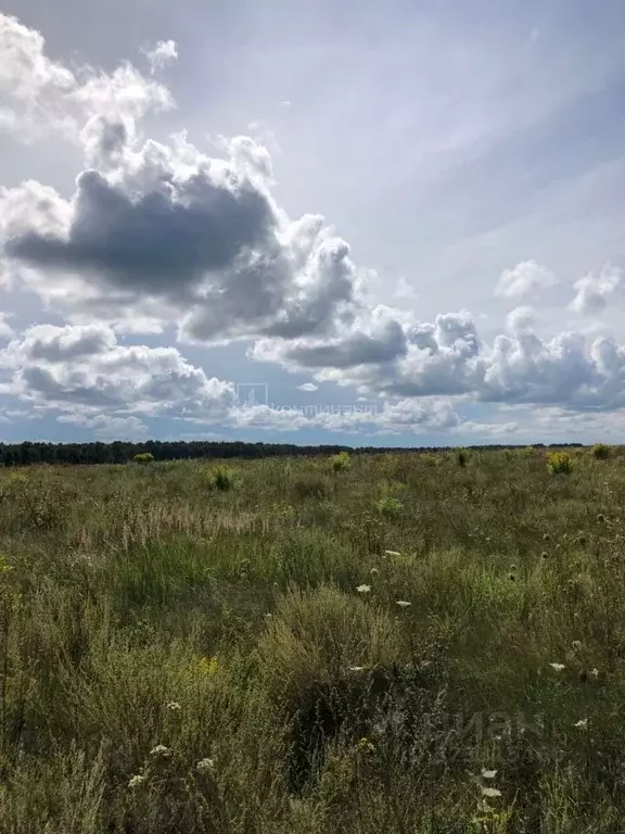 Участок в Владимирская область, Ковровский район, Малыгинское с/пос, ... - Фото 1