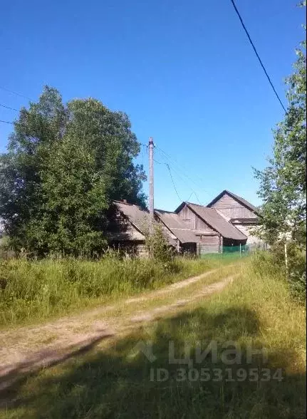 Участок в Новгородская область, Валдайский район, Едровское с/пос, д. ... - Фото 1