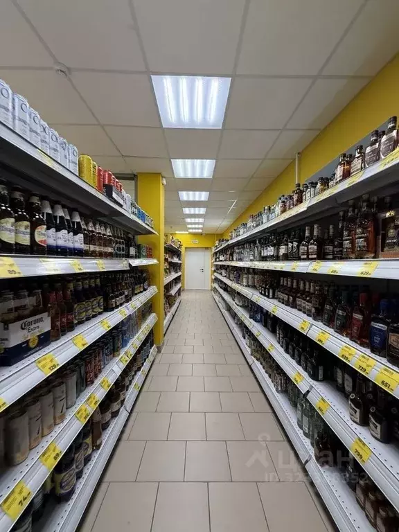 Торговая площадь в Челябинская область, Копейск ул. Кирова, 31 (245 м) - Фото 2