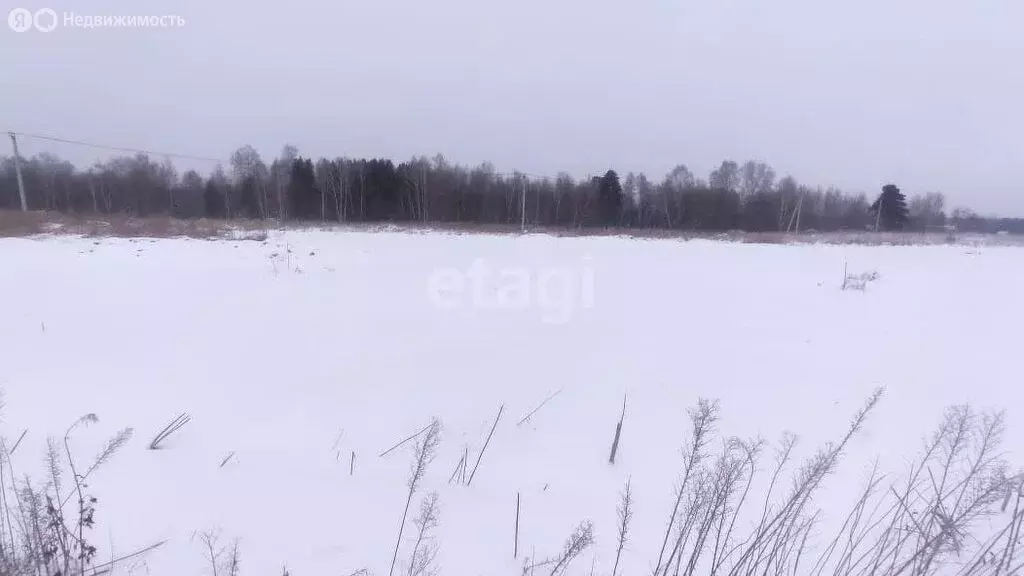 Участок в село Кафтанчиково, Луганская улица (11.1 м) - Фото 1