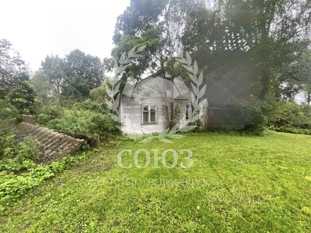 Участок в Калужская область, Бабынинский район, Муромцево с/пос, д. ... - Фото 2