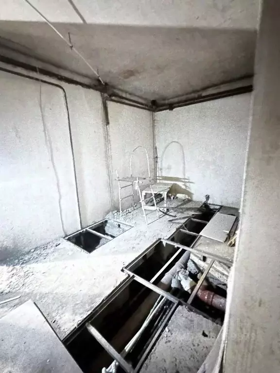 Помещение свободного назначения в Красноярский край, Красноярск просп. ... - Фото 1