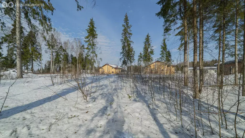 Участок в Наро-Фоминский городской округ, КП Турейка клаб (15 м) - Фото 1