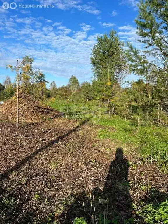 Участок в Томский район, село Тахтамышево, Афганская улица (15 м) - Фото 1