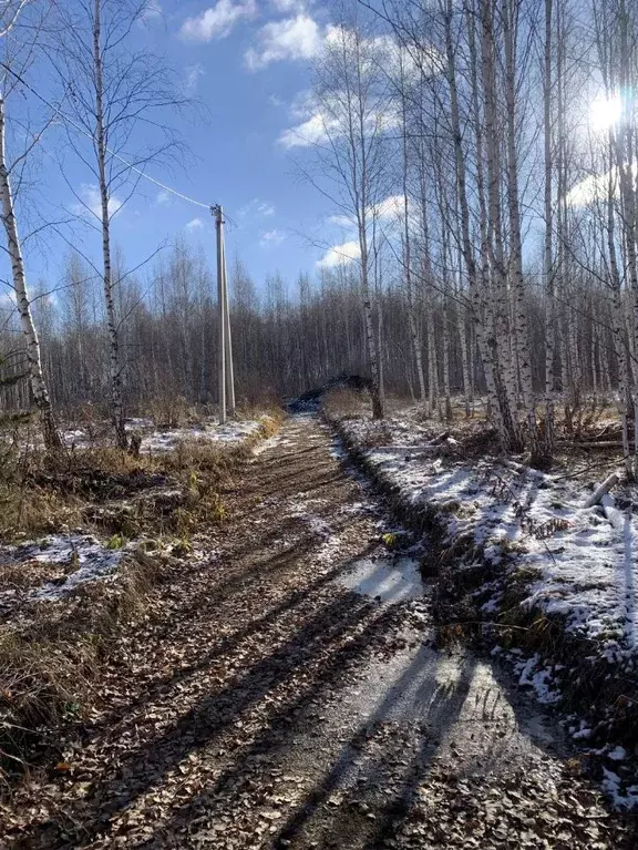 Участок в Челябинская область, Сосновский муниципальный округ, д. ... - Фото 2