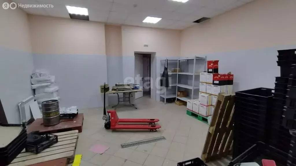 Помещение свободного назначения (209.8 м) - Фото 1