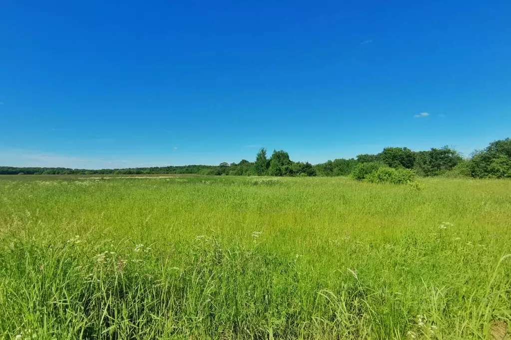 Участок в Новгородская область, Новгородский район, д. Витка  (4.75 ... - Фото 1