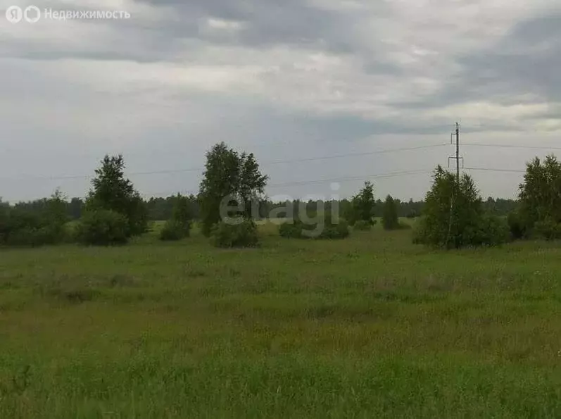 Дом в Курган, СНТ Полянка-2 (36 м) - Фото 2