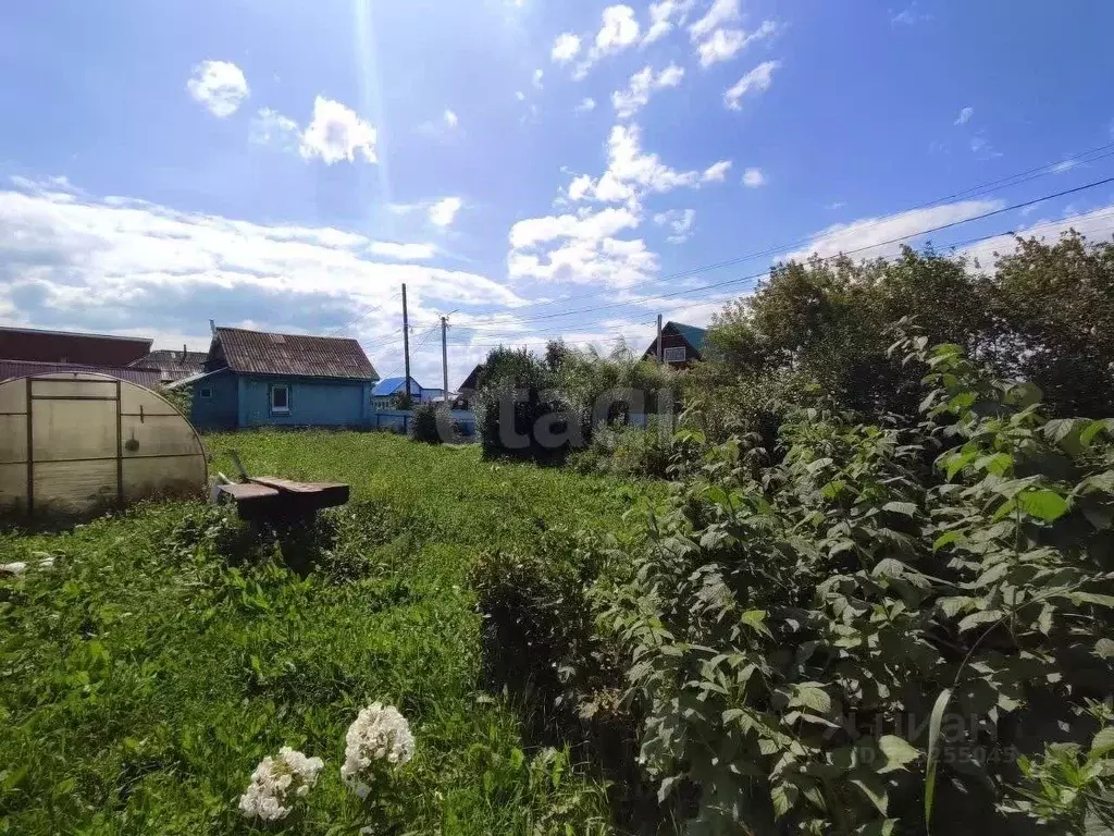 Дом в Пермский край, Чернушка Северная ул., 26 (48 м) - Фото 1