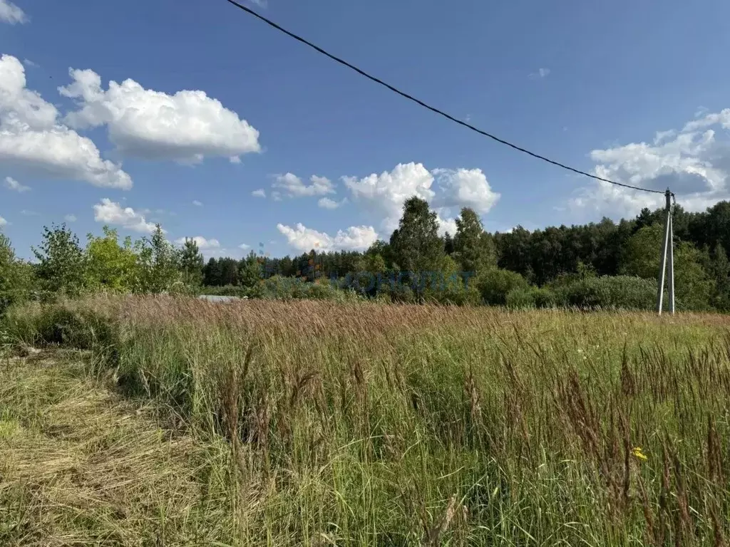 Участок в Нижегородская область, Богородский муниципальный округ, ... - Фото 2