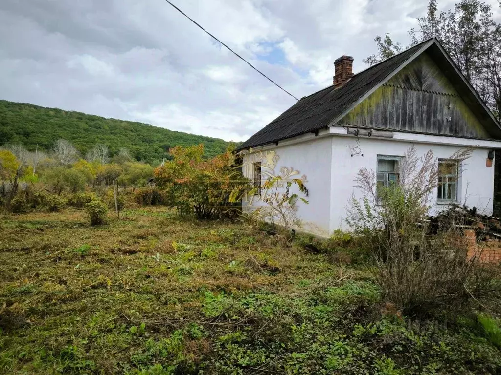 Дом в Приморский край, Партизанский городской округ, с. Авангард ул. ... - Фото 1