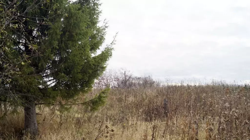 Участок в Свердловская область, Тугулымский муниципальный округ, с. ... - Фото 1