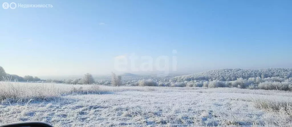 Участок в Камчатский край, Елизово (1149 м) - Фото 2