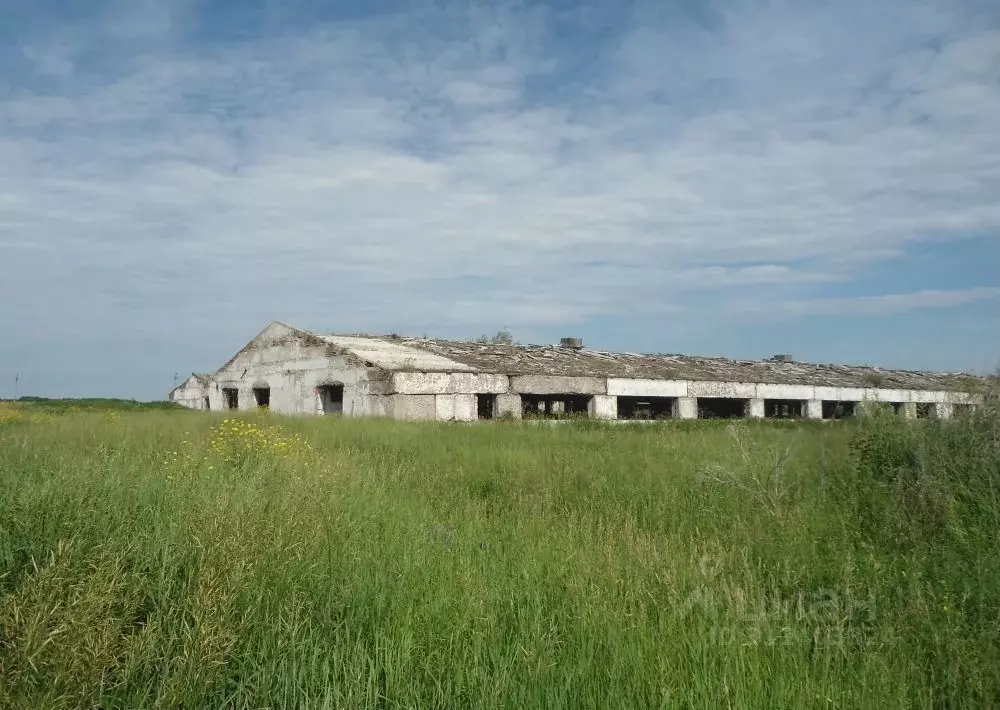 Помещение свободного назначения в Тюменская область, Заводоуковский ... - Фото 0