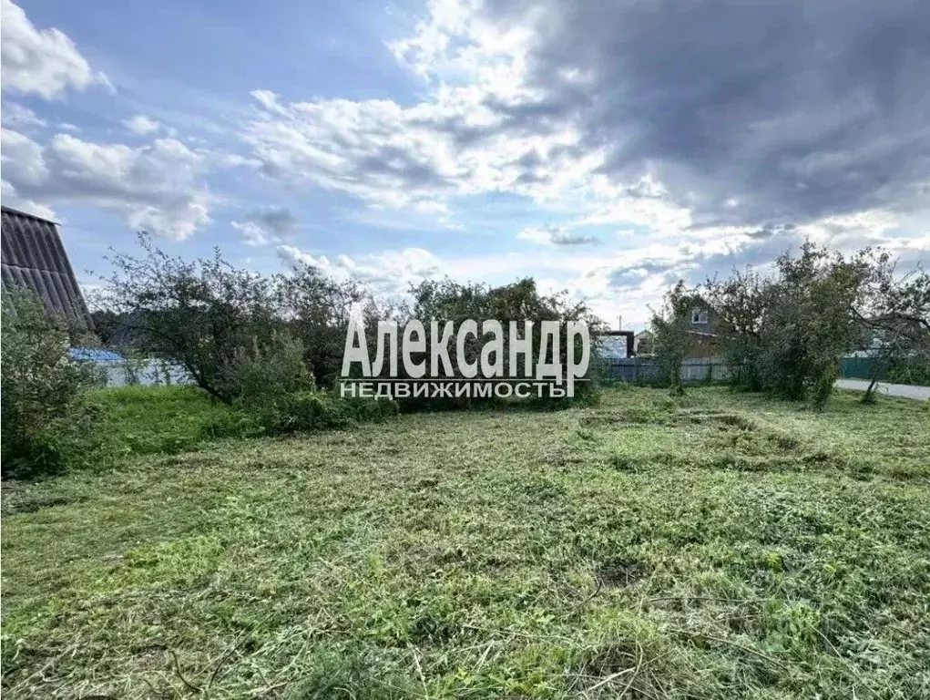 Участок в Ленинградская область, Ломоносовский район, Гостилицкое ... - Фото 2