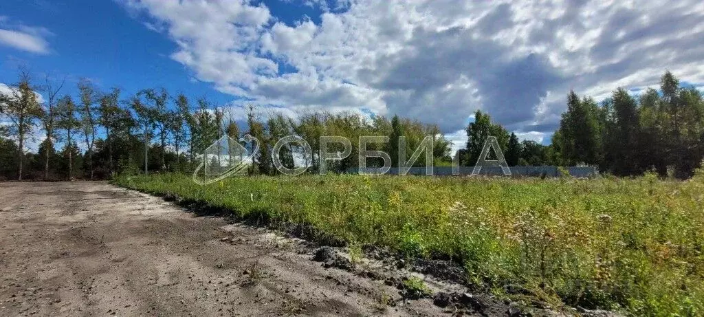 Участок в Тюменская область, Тюмень Звенящие Кедры Тюмени ДНП,  ... - Фото 1