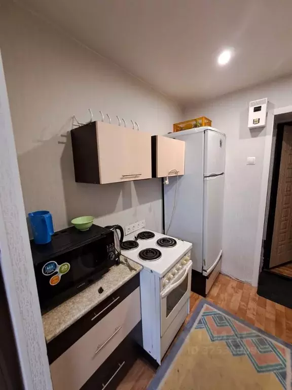 Студия Алтайский край, Барнаул ул. Эмилии Алексеевой, 62 (19.0 м) - Фото 1