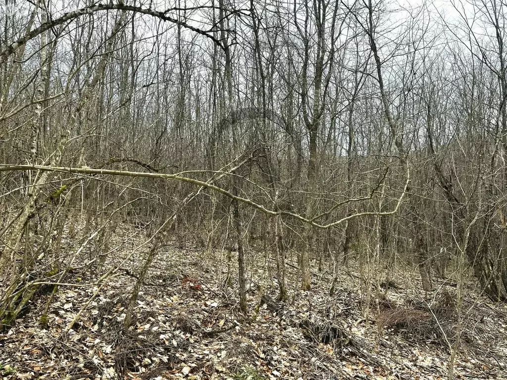 Участок в посёлок городского типа Нефтегорск, улица Сиуды (25 м) - Фото 2