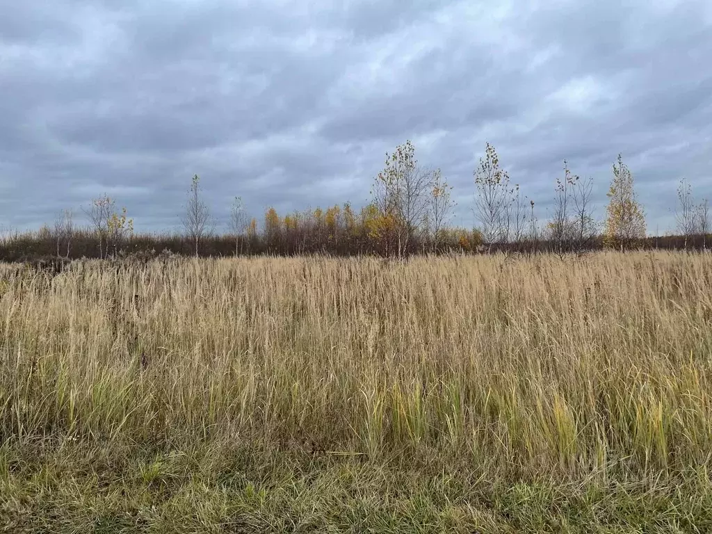 Участок в Московская область, Воскресенск городской округ, Имени ... - Фото 0