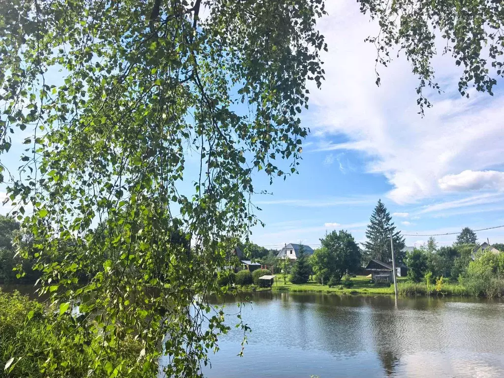 Участок в Московская область, Домодедово городской округ, д. Гальчино, ... - Фото 2