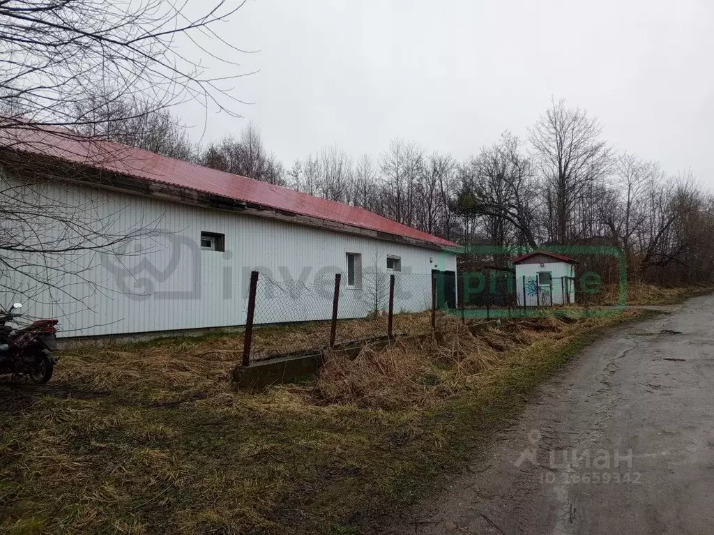 Производственное помещение в Калининградская область, Зеленоградский ... - Фото 1