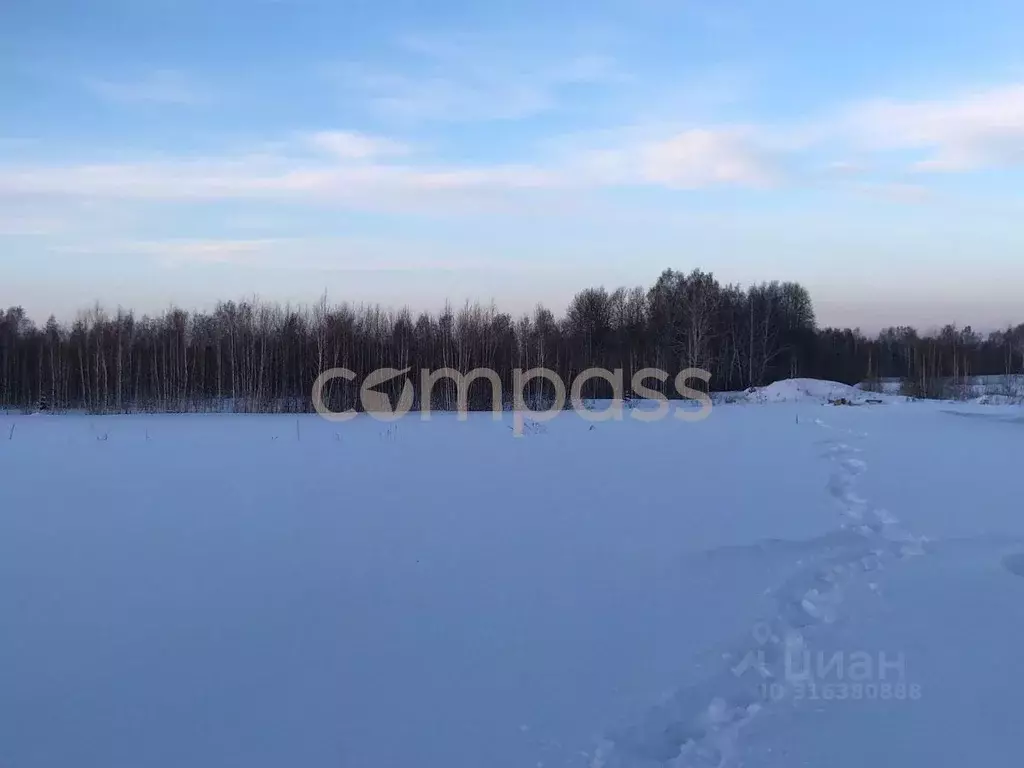 Участок в Тюменская область, Тюмень Ирбитский Тракт 3-й км от ... - Фото 0