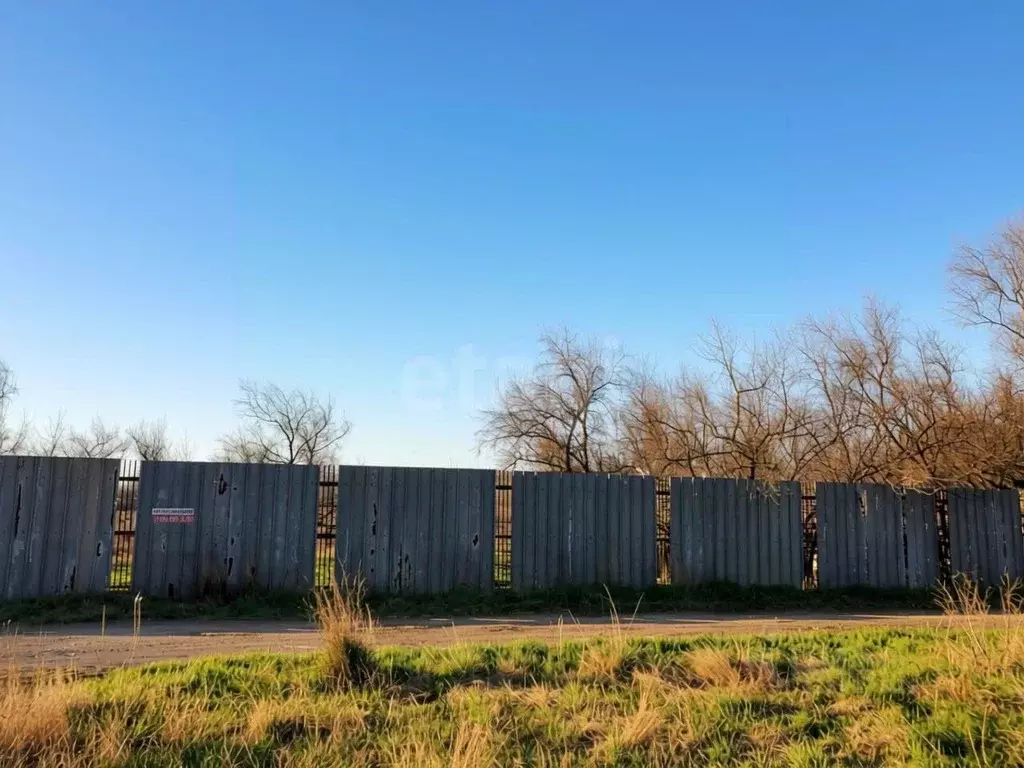 Участок в Краснодарский край, Темрюк ул. Камышовая (3.64 сот.) - Фото 2