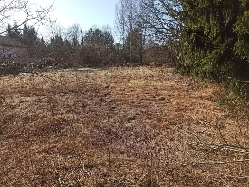 Участок в Ленинградская область, Лужский район, Толмачевское городское ... - Фото 1