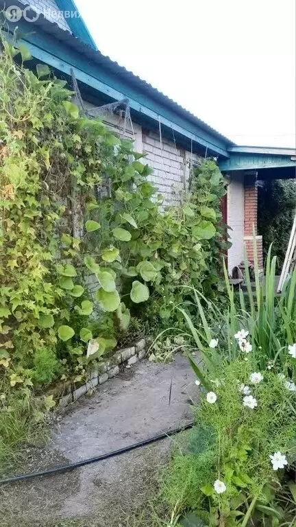 Дом в Тюменская область, Ишимский муниципальный округ, поселок ... - Фото 1